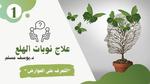 نوبات الهلع: التعرف والعلاج